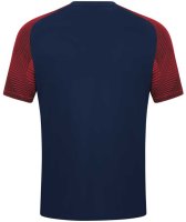 1. FFC Hof - Shirt Kurz Blau Trainer Männer