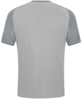 1. FFC Hof - Shirt Kurz Grau Trainer Männer